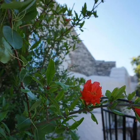 Trullo Biricchino Two Bedroom By Tripostuni